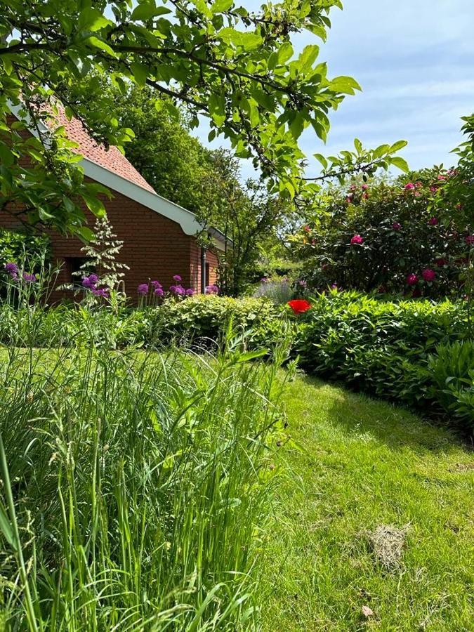 Haystackcottage Paterswolde Экстерьер фото