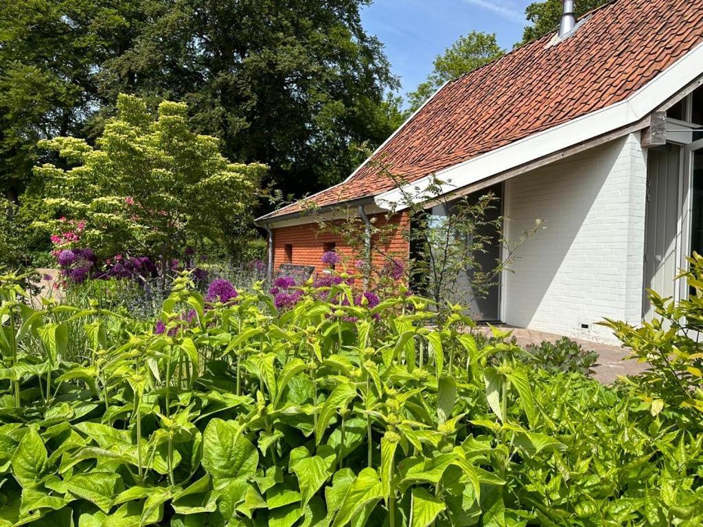 Haystackcottage Paterswolde Экстерьер фото